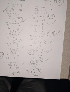 Student Algebra 1 Work